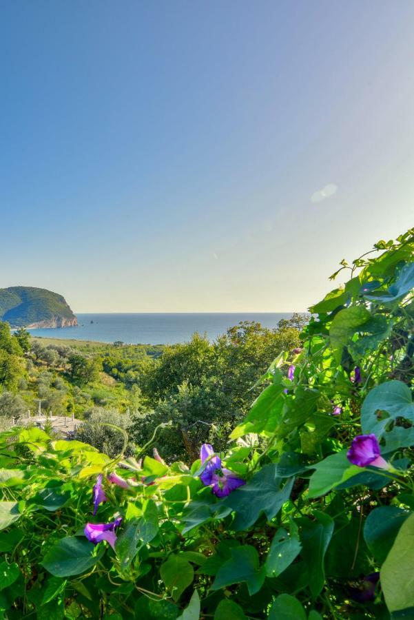 Pataki Guesthouse Petrovac Luaran gambar
