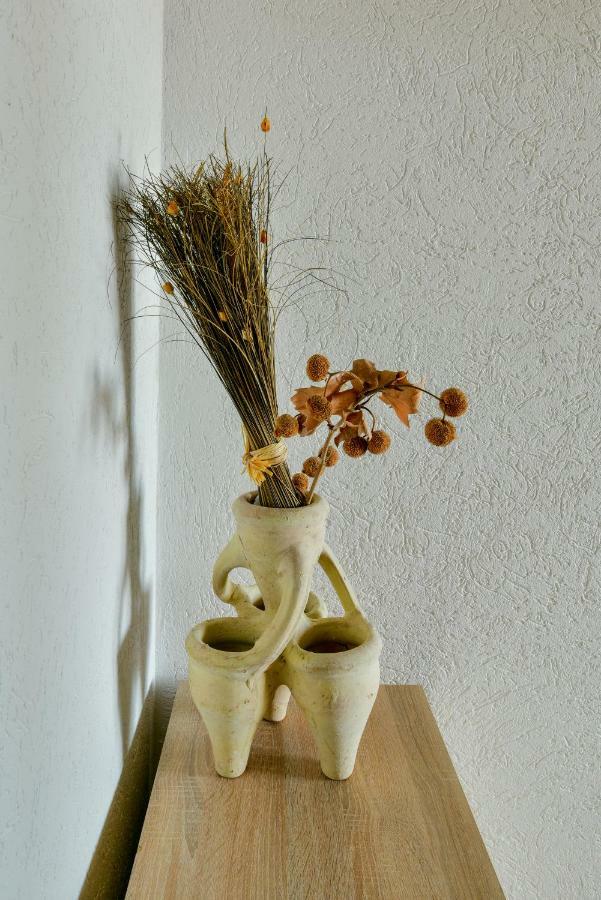 Pataki Guesthouse Petrovac Luaran gambar