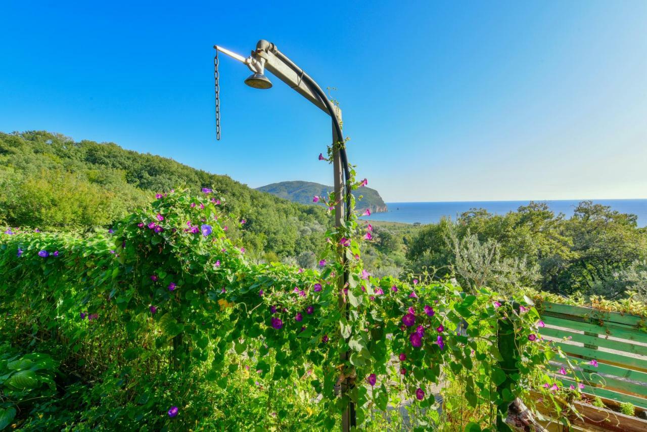 Pataki Guesthouse Petrovac Luaran gambar