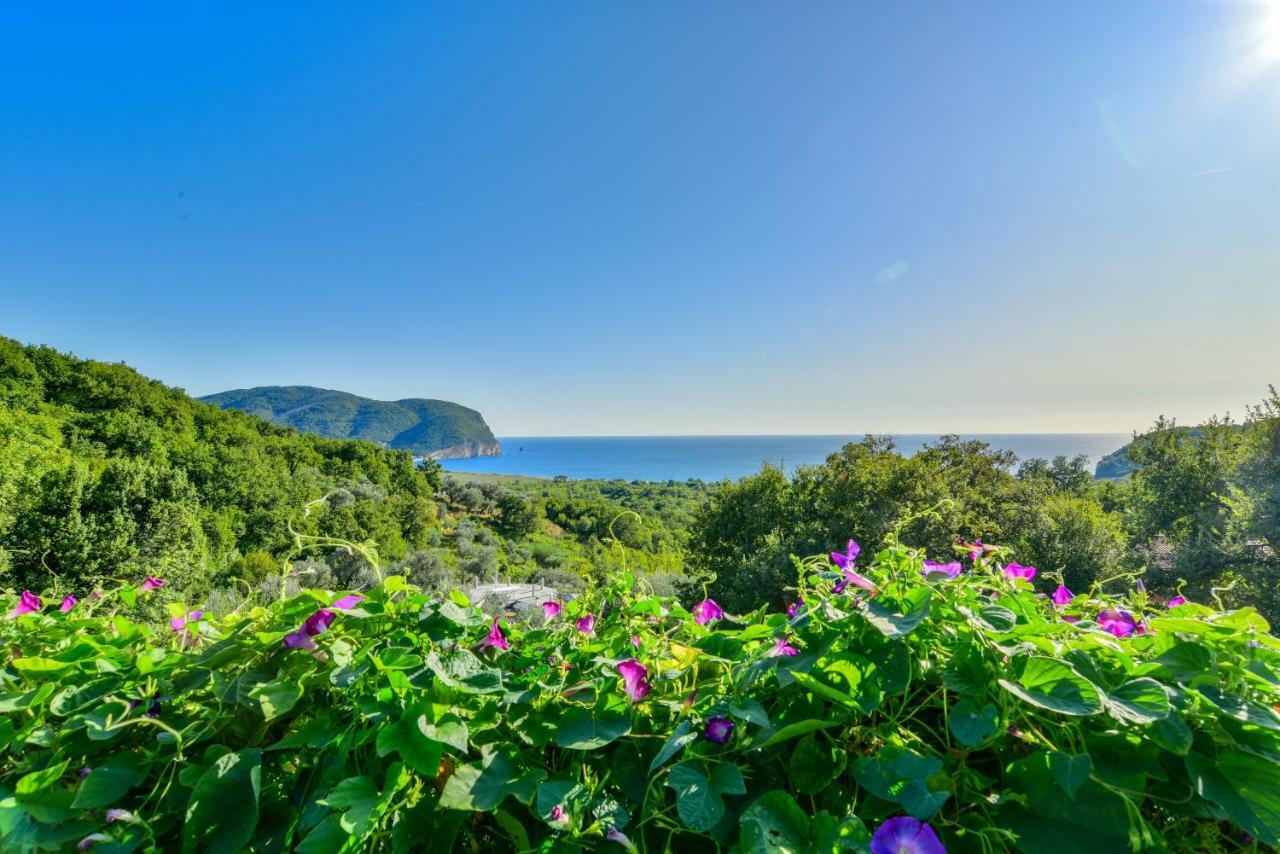 Pataki Guesthouse Petrovac Luaran gambar